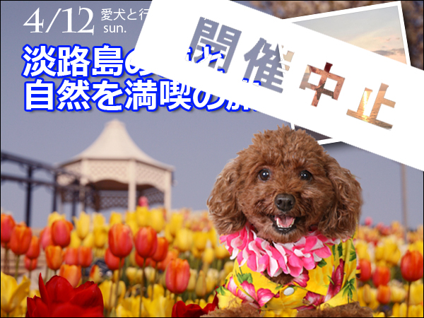 年4月12日 愛犬と行くバスツアーin淡路島 ペットフォトスタジオ わんこ ぷらネット